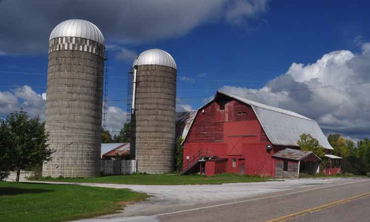 barn and silos